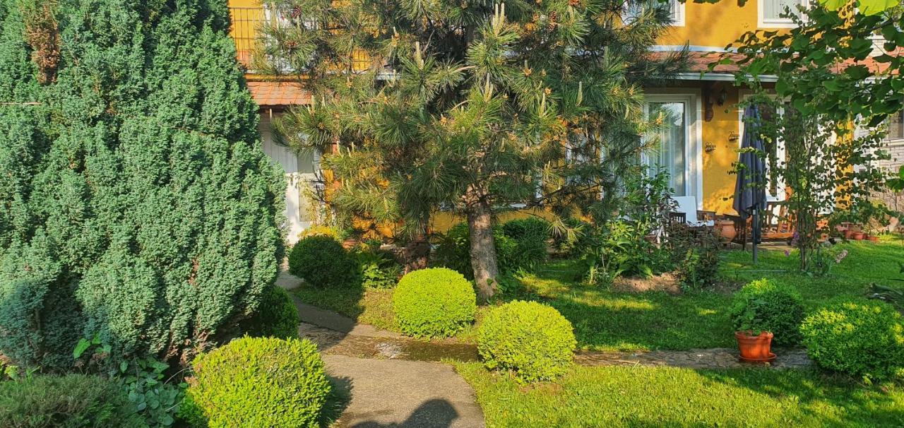 Natura Apartment Belgrado Buitenkant foto