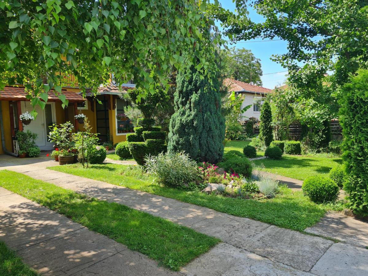 Natura Apartment Belgrado Buitenkant foto