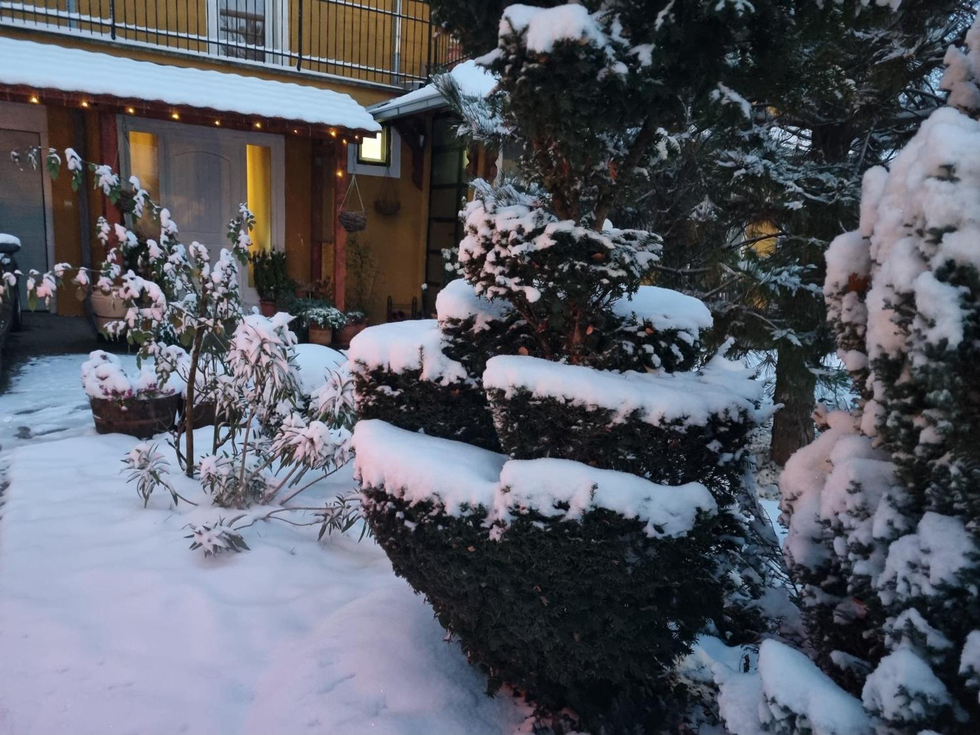 Natura Apartment Belgrado Buitenkant foto