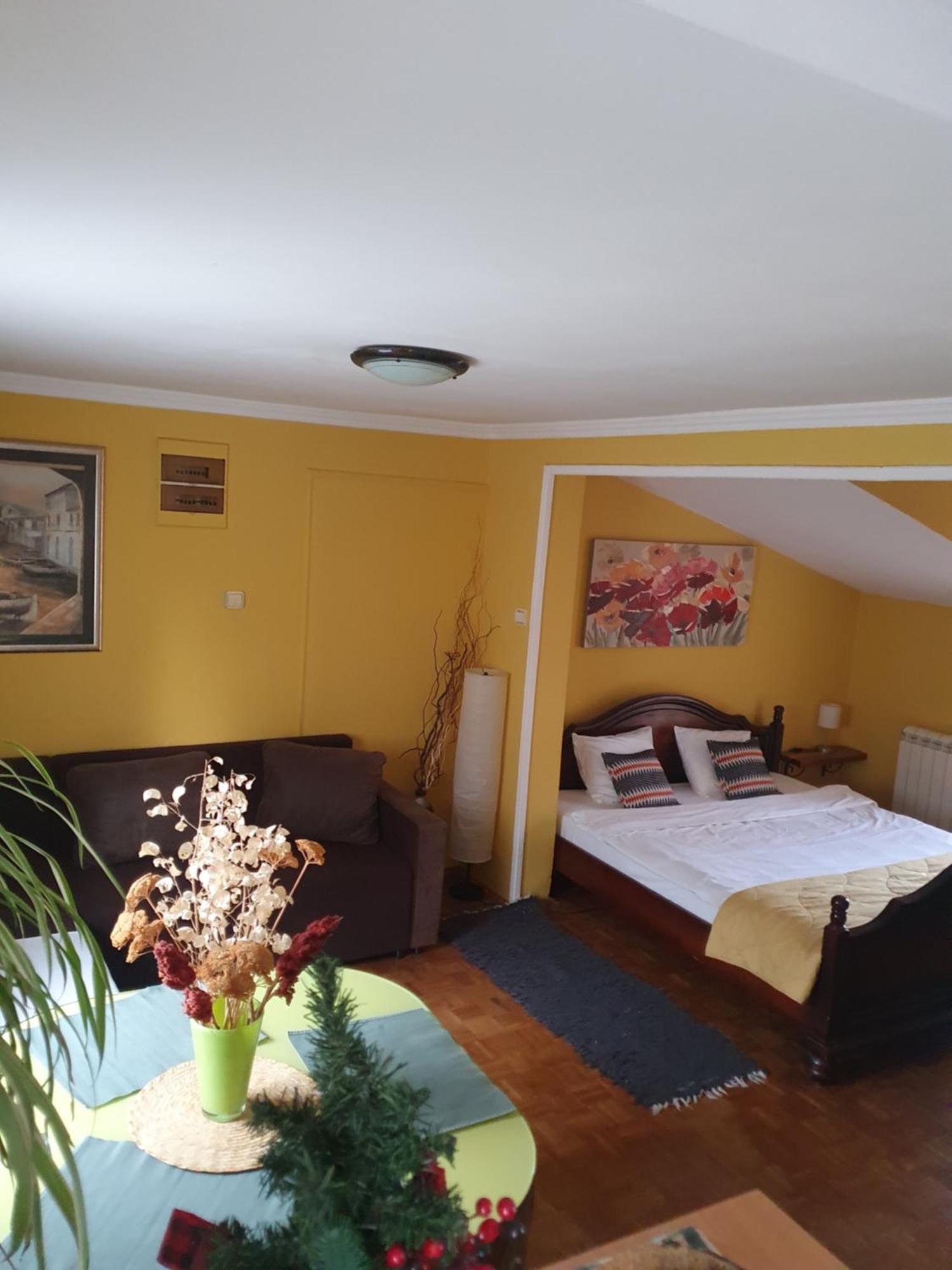 Natura Apartment Belgrado Buitenkant foto