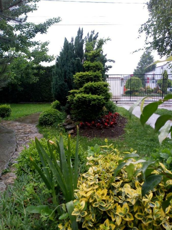 Natura Apartment Belgrado Buitenkant foto