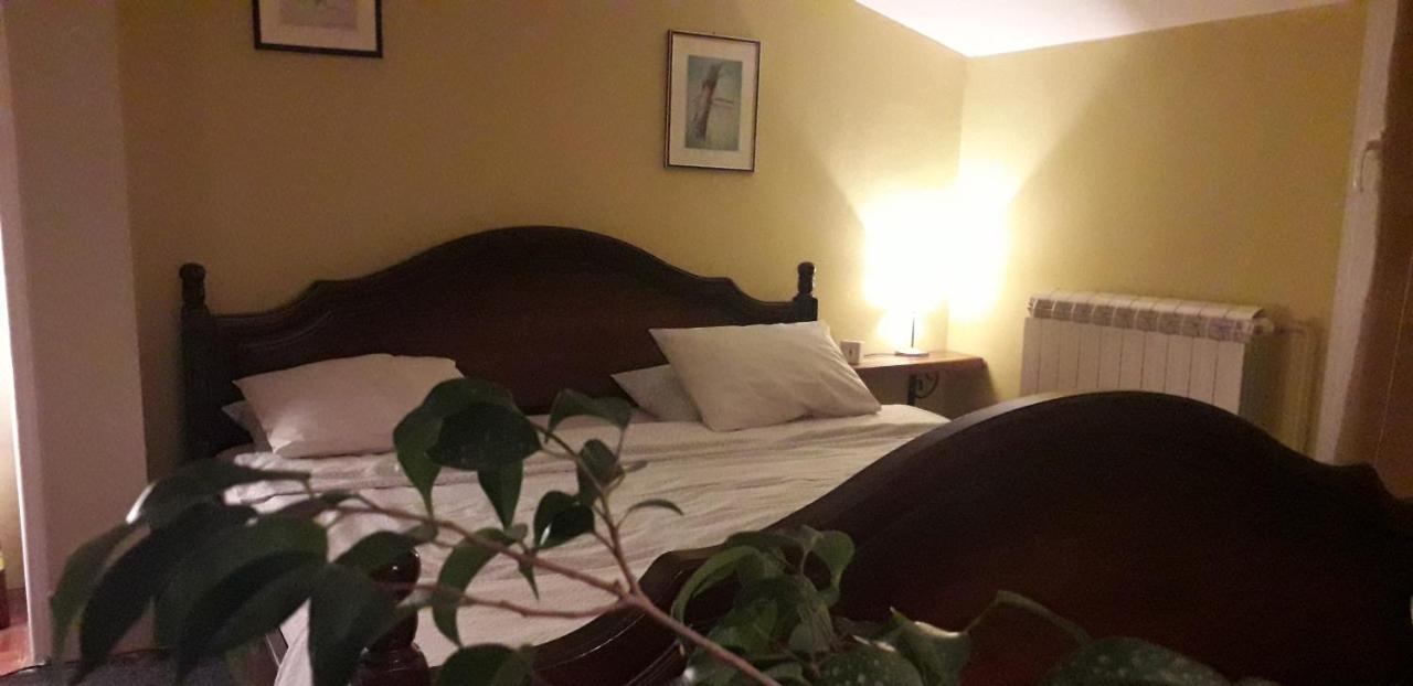 Natura Apartment Belgrado Buitenkant foto