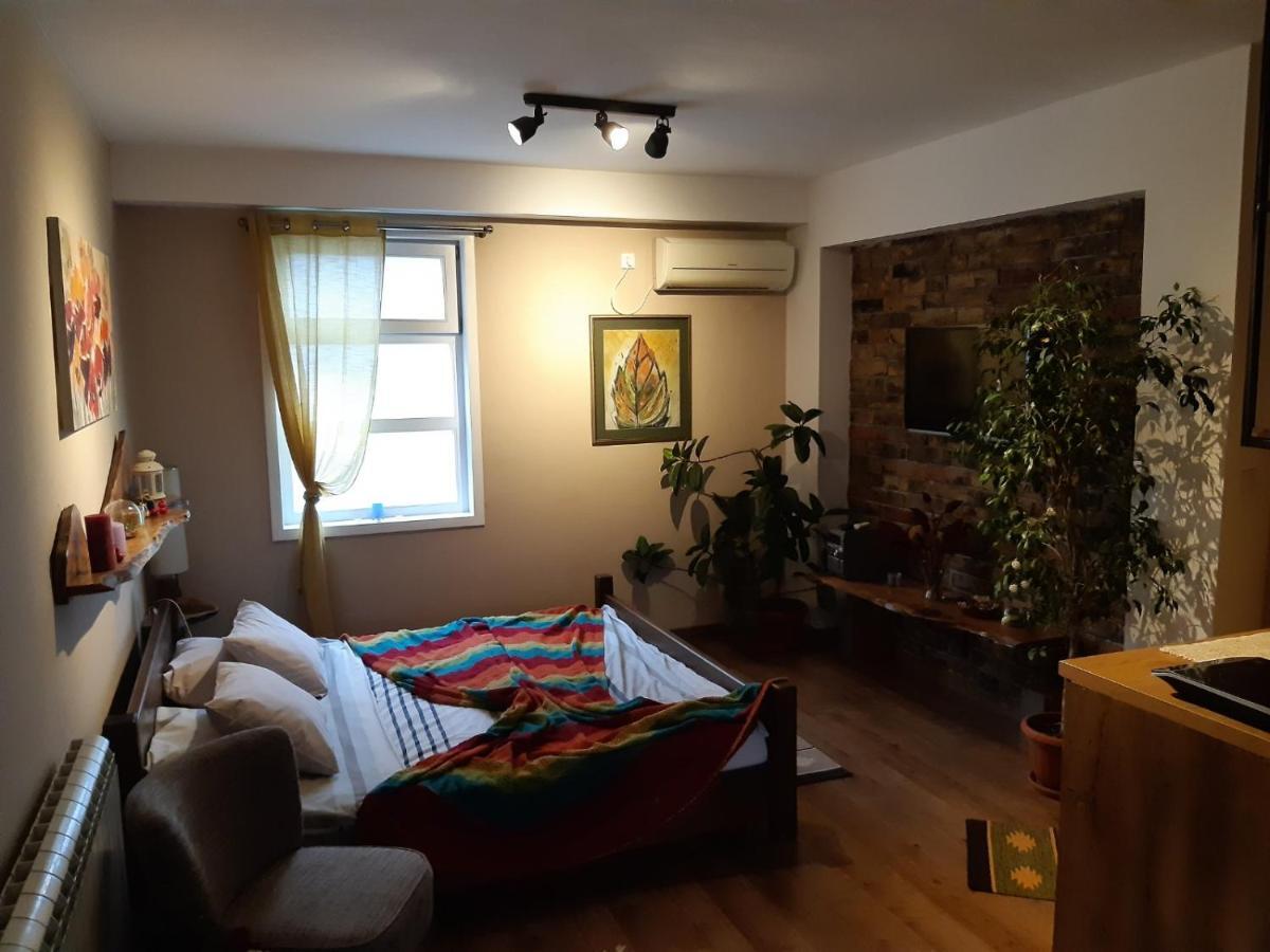 Natura Apartment Belgrado Buitenkant foto