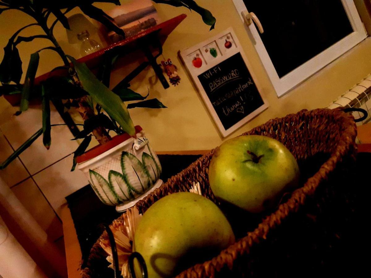 Natura Apartment Belgrado Buitenkant foto