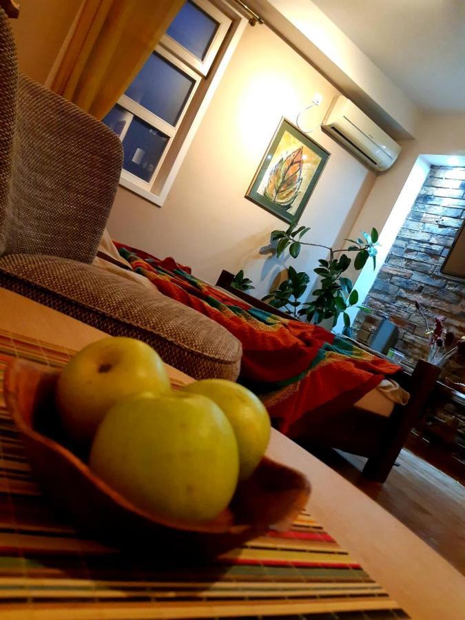 Natura Apartment Belgrado Buitenkant foto